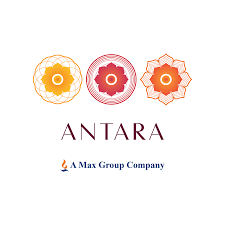 Best luxury properties to invest in Noida